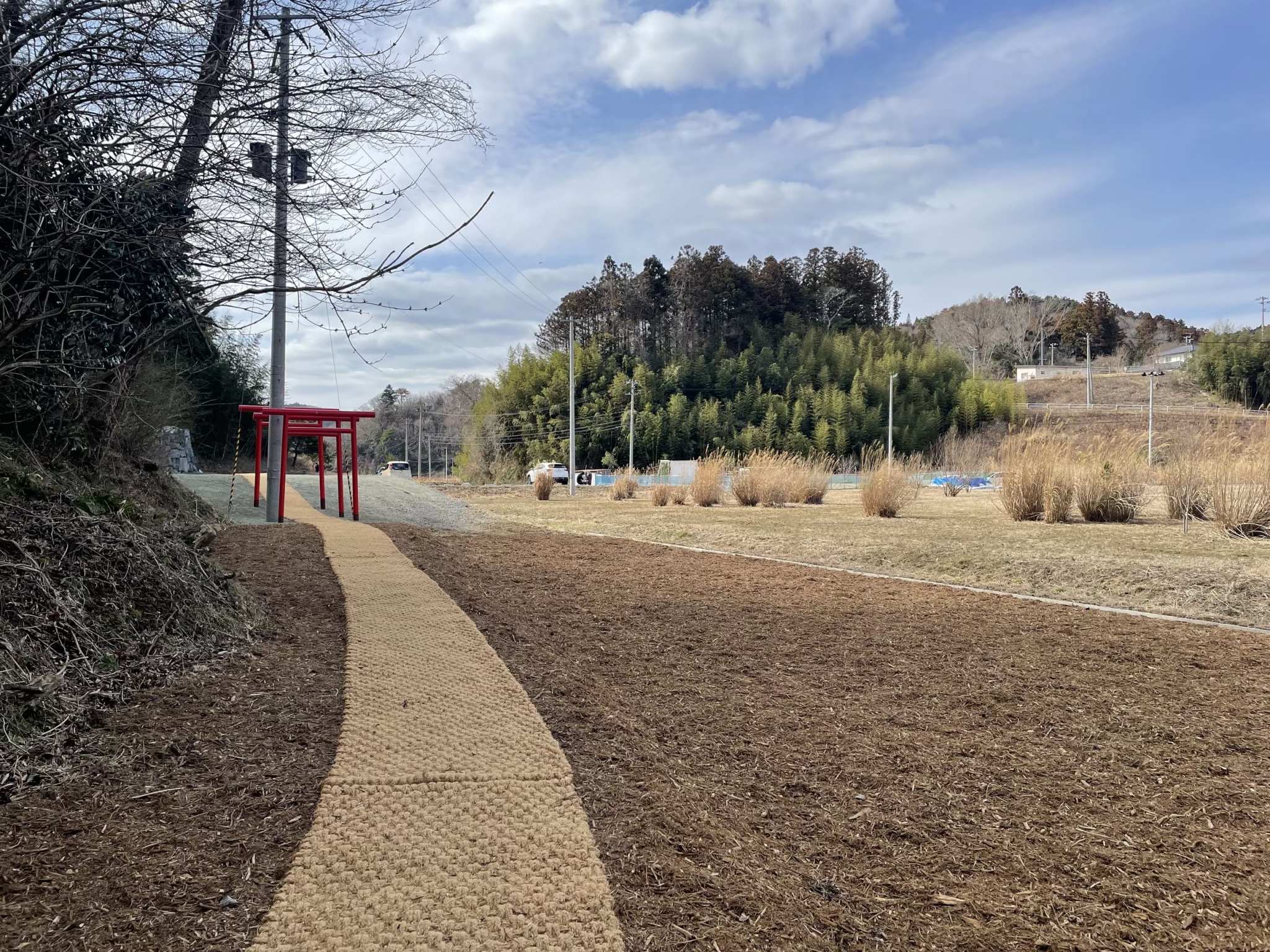 草地のあいだを抜けるココペーバーの道