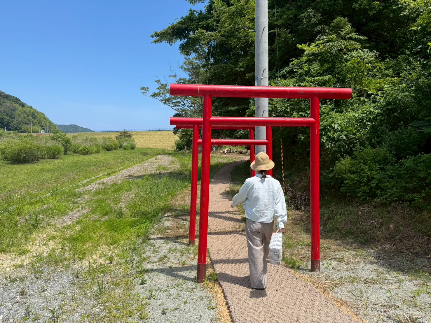 ココペーバーの小径を歩く人