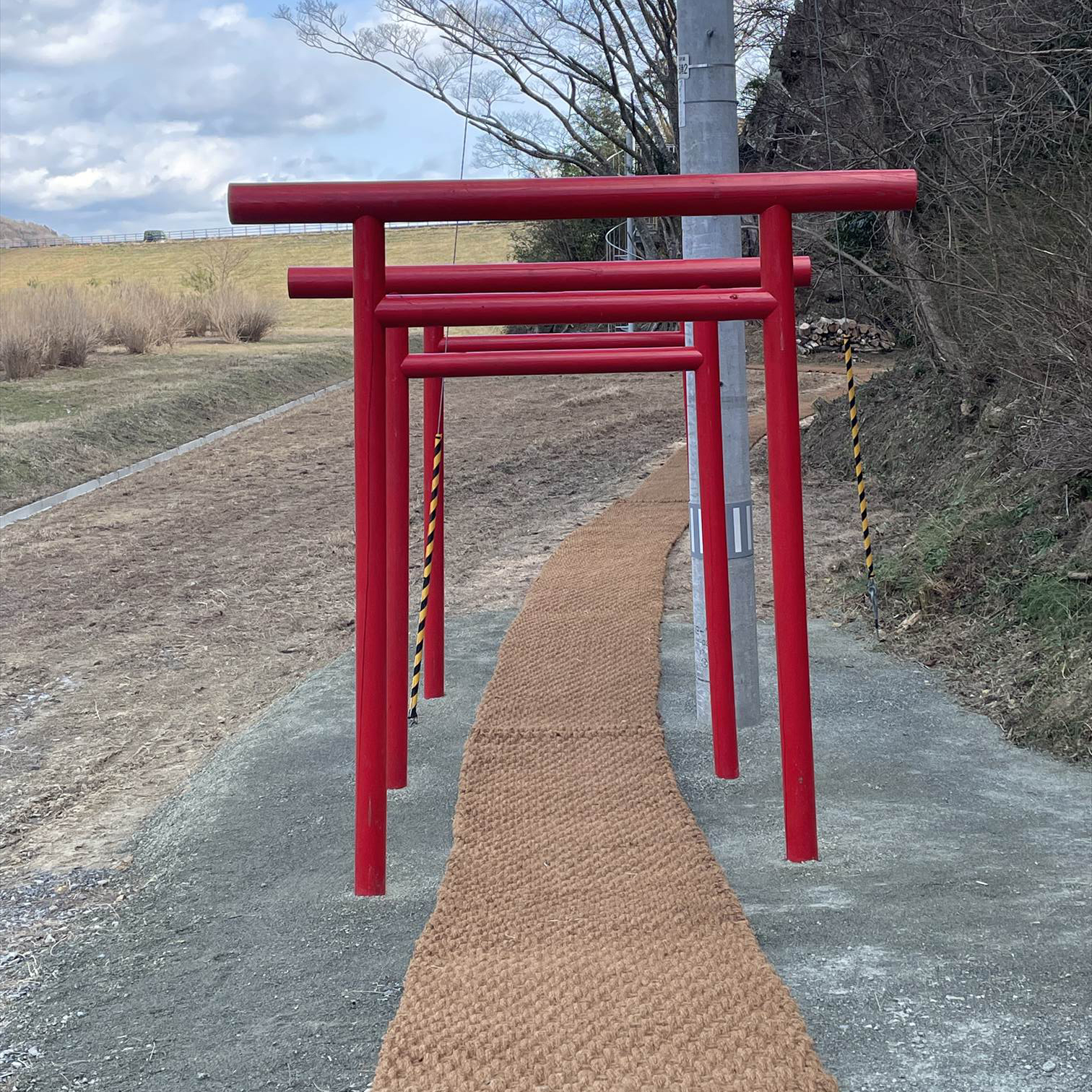 鳥居をくぐって続くココペーバーの小径