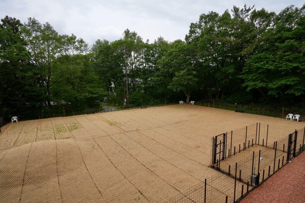 ココペーバーを敷いた広いドッグランの全景
