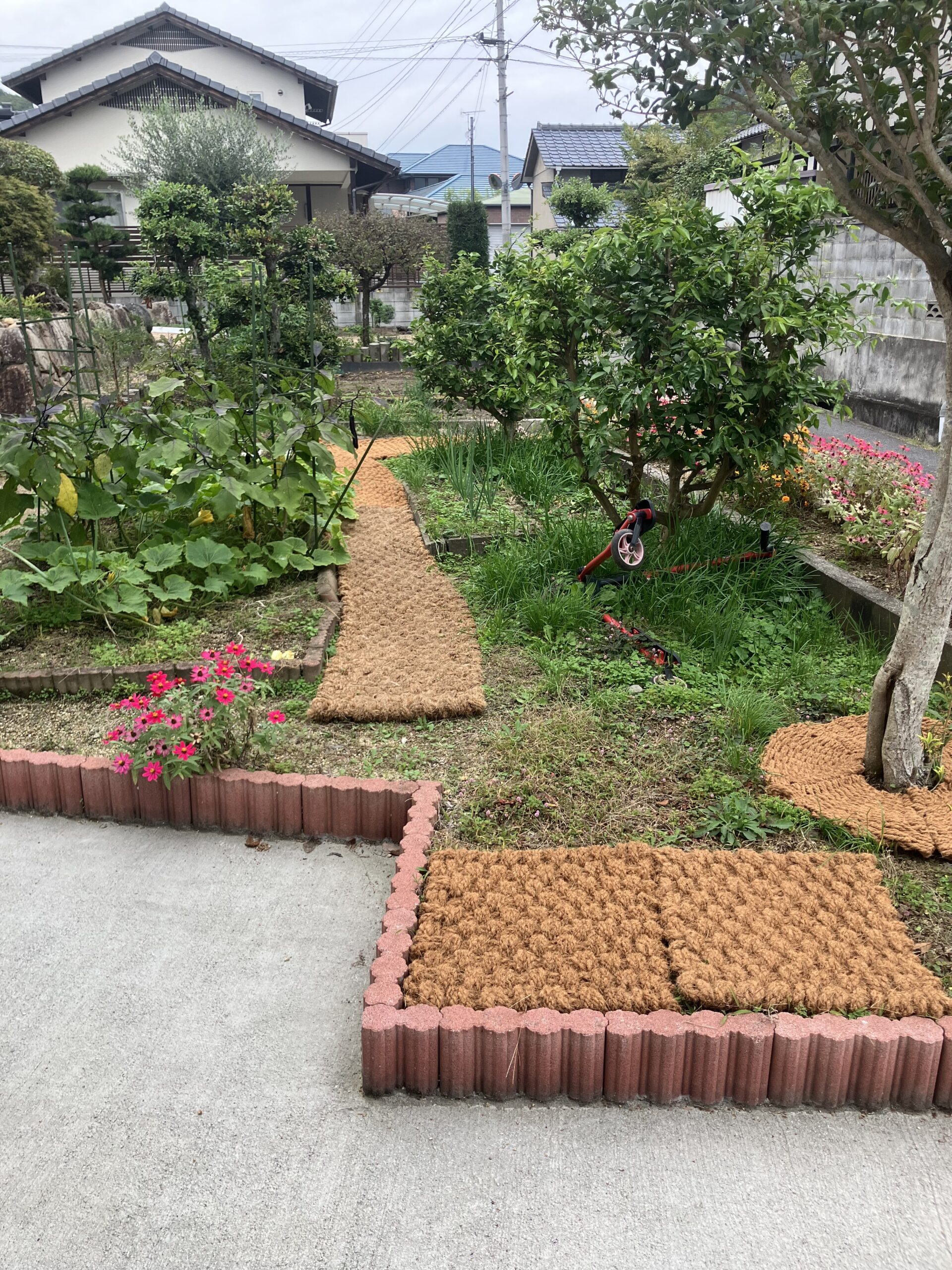 芝生と花壇のあいだを通るココペーバーの小径