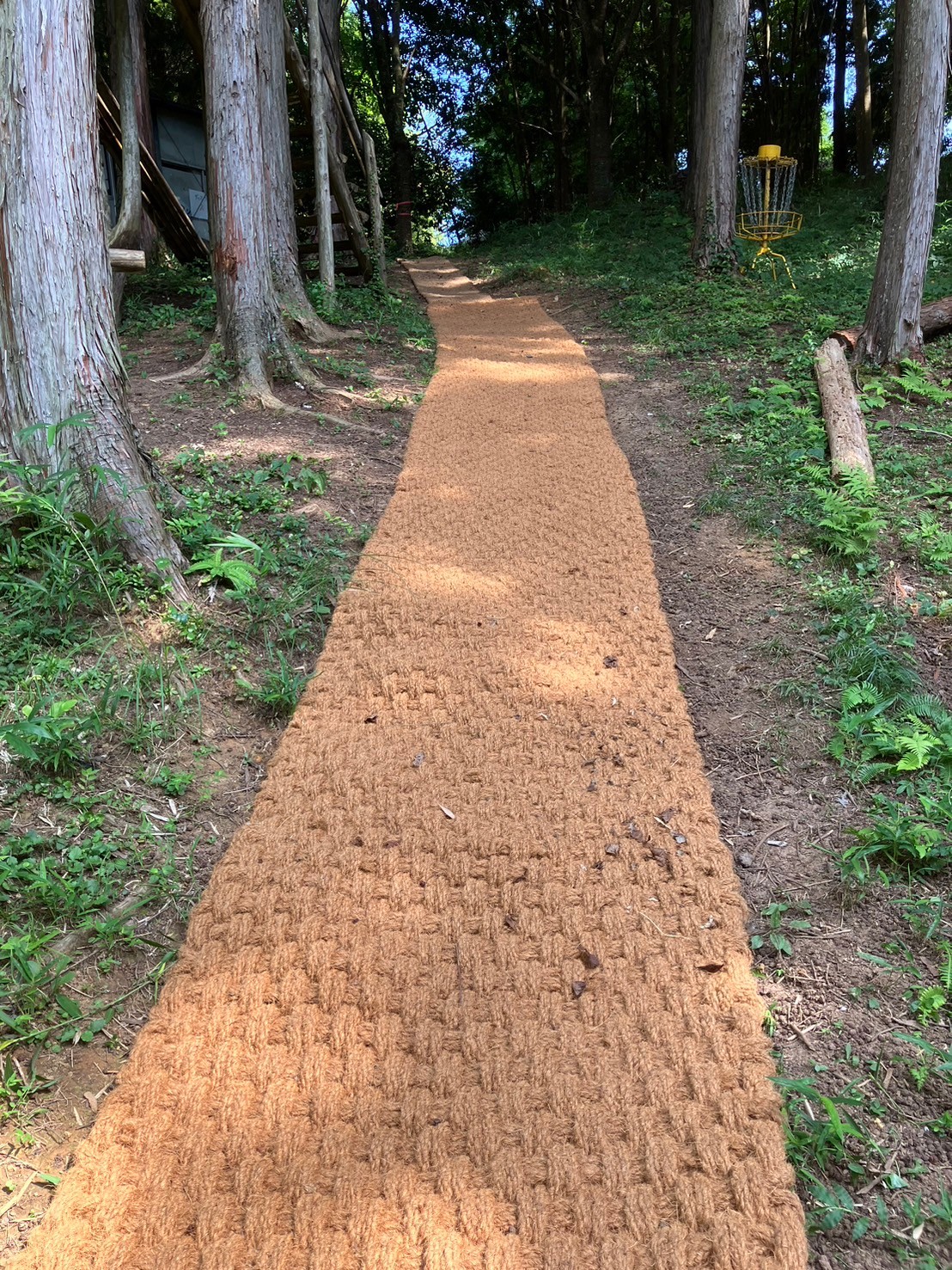 芝生の広場を横切るココペーバーの通路