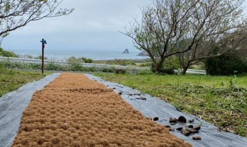 九州オルレ「新宮・相島コース」（福岡県新宮町）｜島の散策路にココペーバー プレミアム