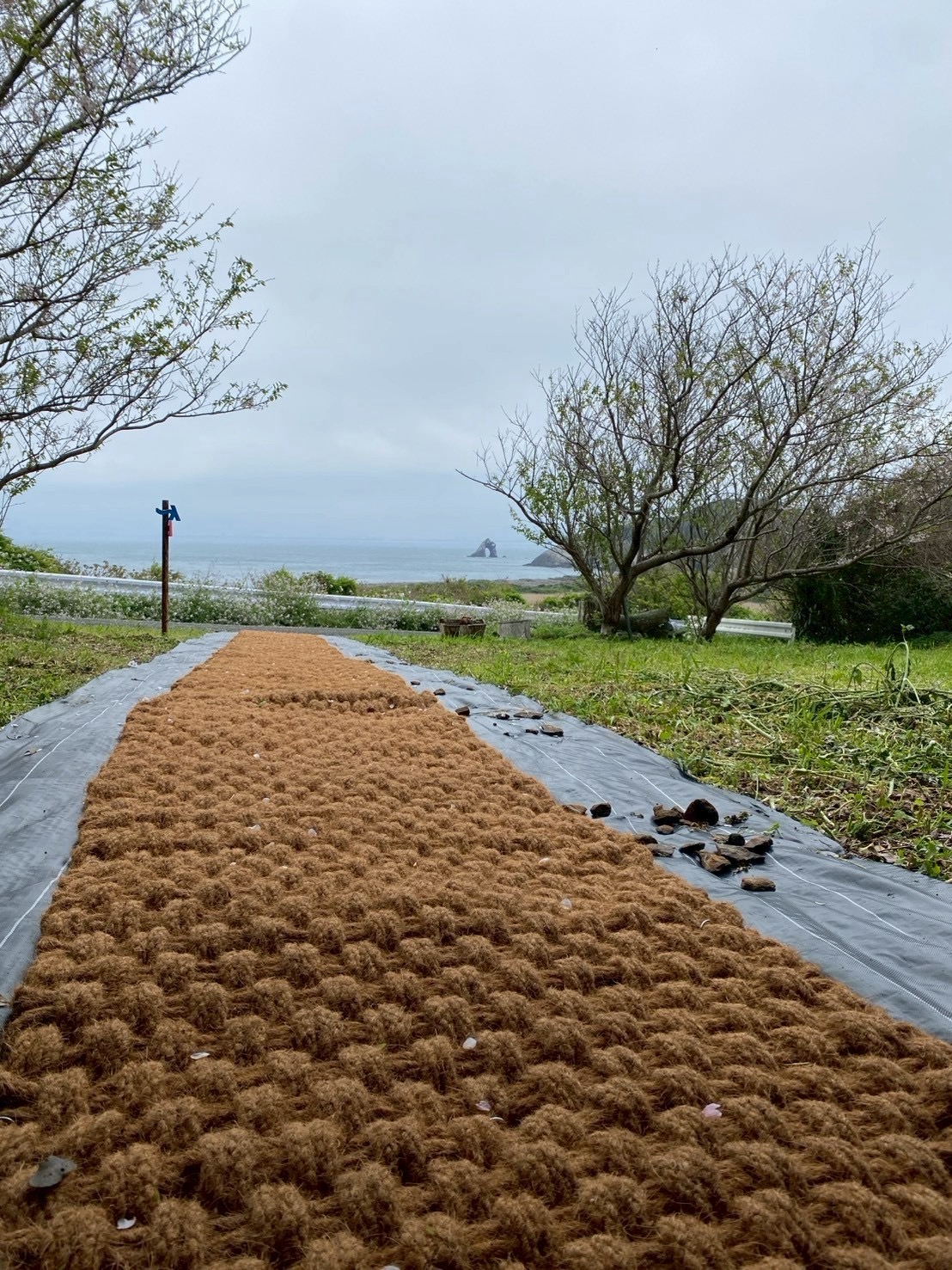 めがね岩を望む展望所へ続くココペーバーの通路