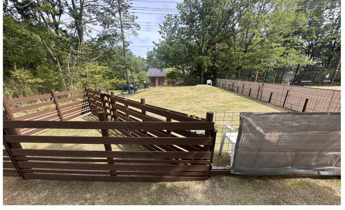 木製の仕切りと天然芝の小中型犬エリア