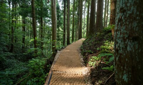 SEIEI GROUP様（富山県）｜杉林の遊歩道にココペーバー