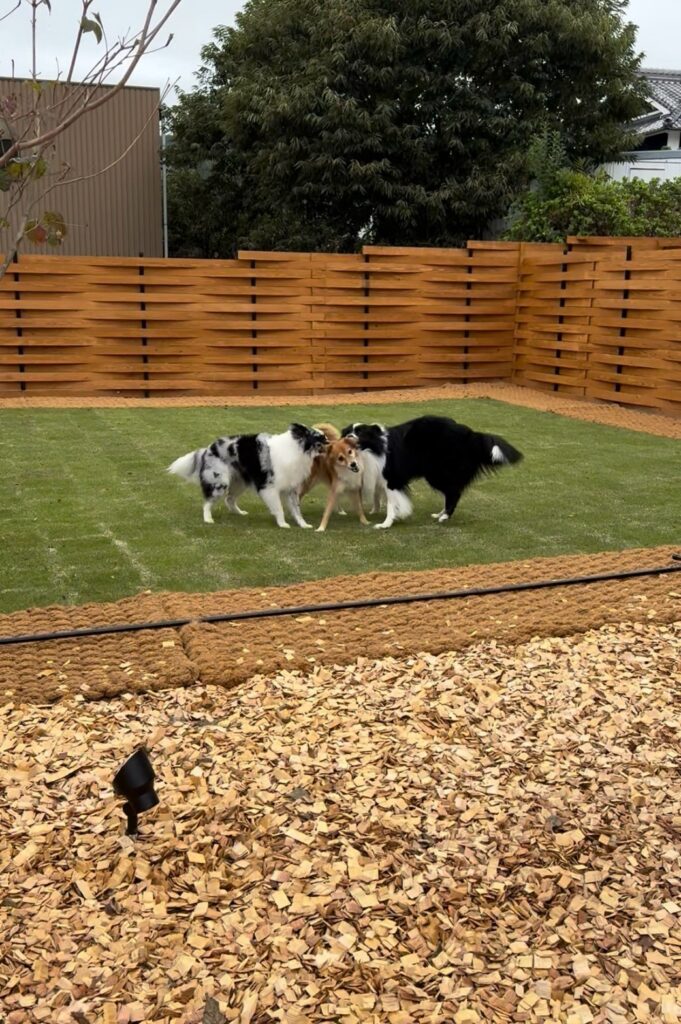 犬と暮らす庭のドッグランにココペーバー｜deer garden様（兵庫県川西市）