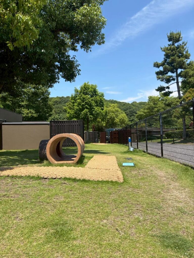 ドッグランの遊具のそばに敷いたココペーバー