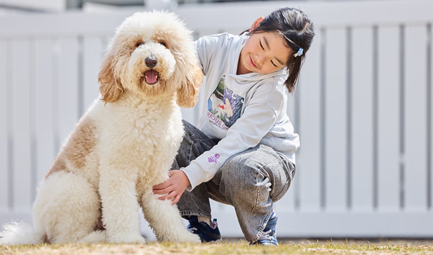 大型犬と過ごせるKOMOREVILLAGOのプライベートドッグラン